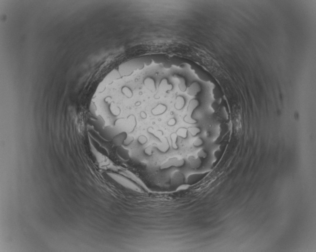 X0000066121204200603101227