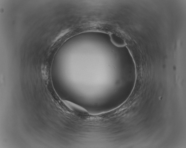 X0000066121206200603101227