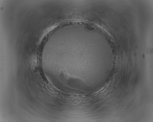 X0000066121207200603101227