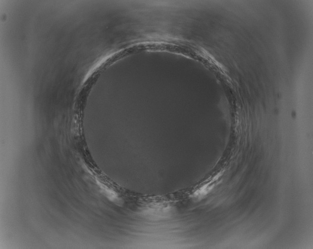 X0000066121208200603101227