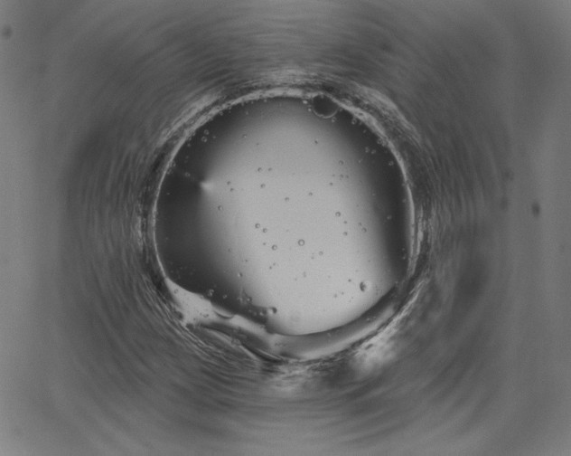 X0000066121209200603101227