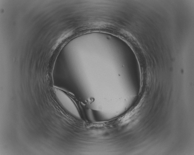 X0000066121210200603101227