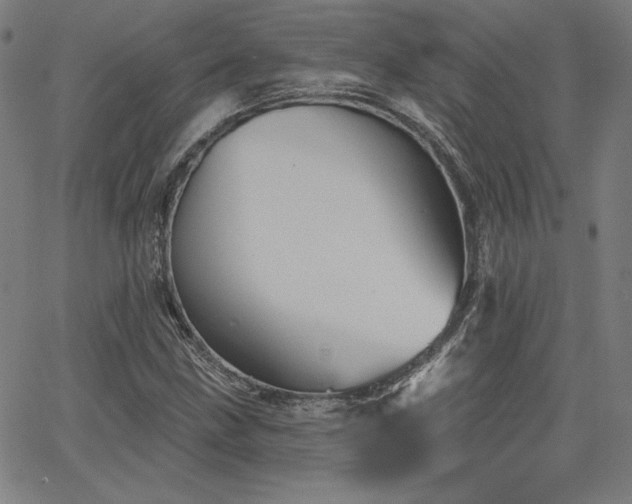 X0000066121211200603101227