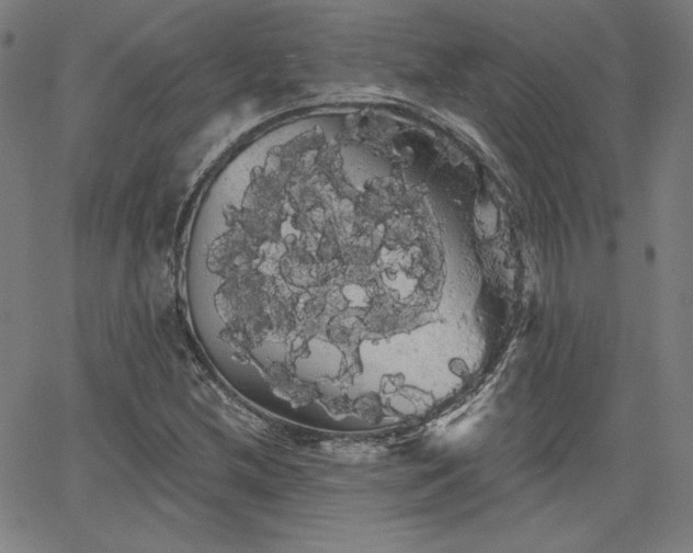 X0000066121212200603101227