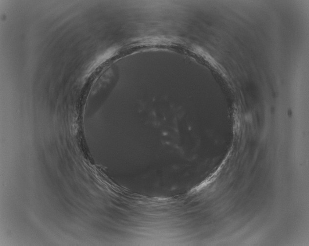 X0000066121213200603101227