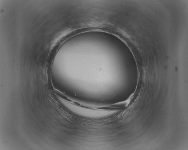 X0000066121214200603101227