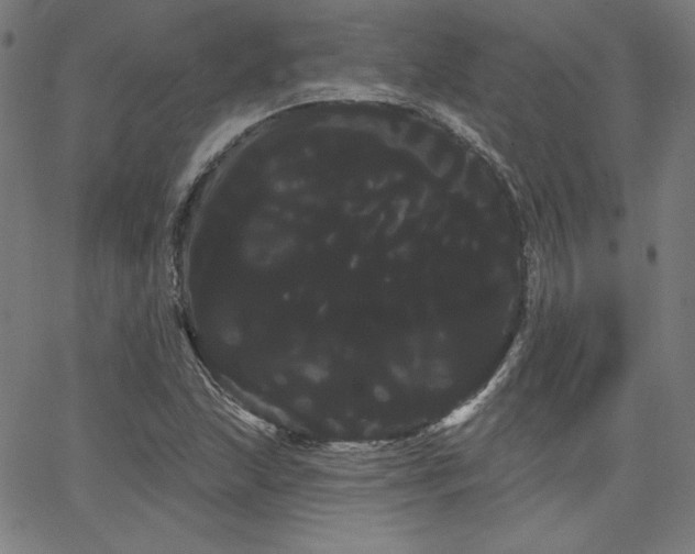 X0000066121215200603101227