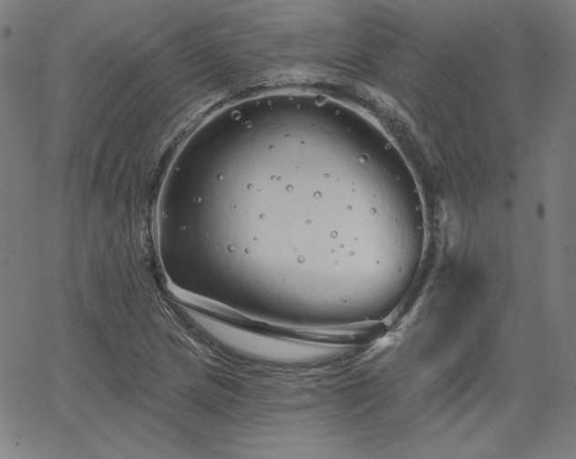 X0000066121217200603101227