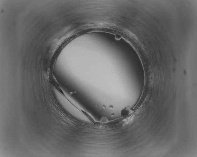 X0000066121218200603101227