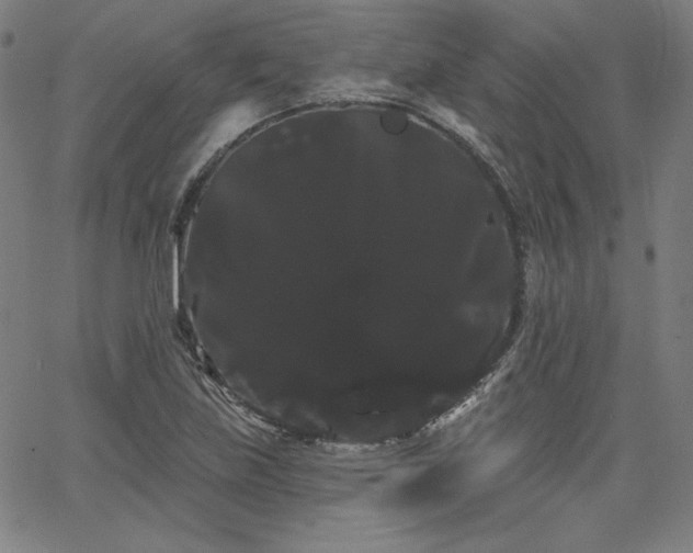 X0000066121219200603101227