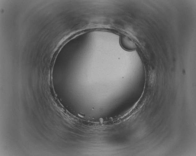 X0000066121220200603101227