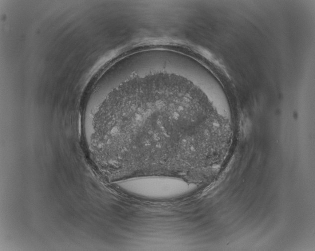 X0000066121221200603101227