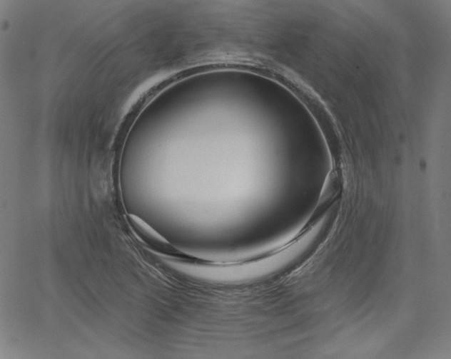 X0000066121222200603101227