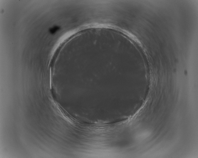 X0000066121223200603101227