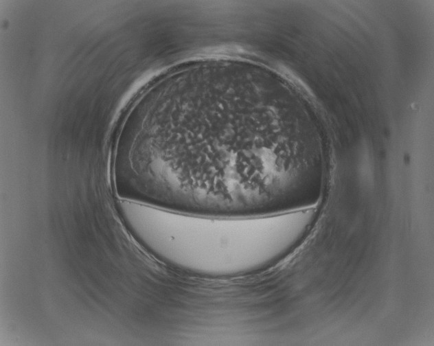 X0000066121224200603101227