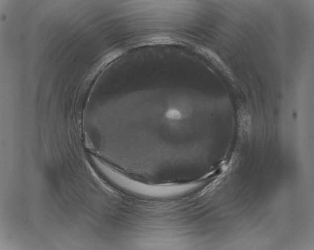 X0000066121225200603101227