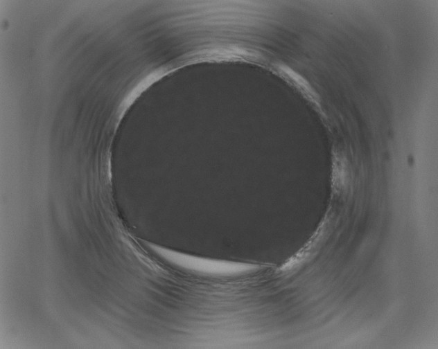 X0000066121226200603101227