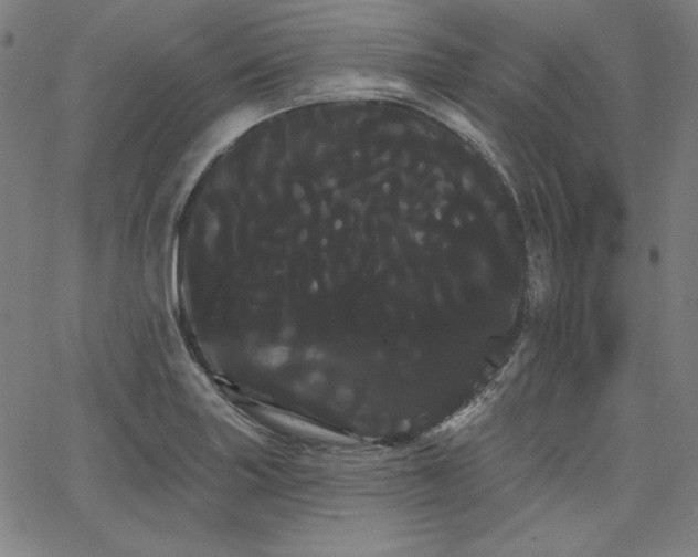 X0000066121227200603101227