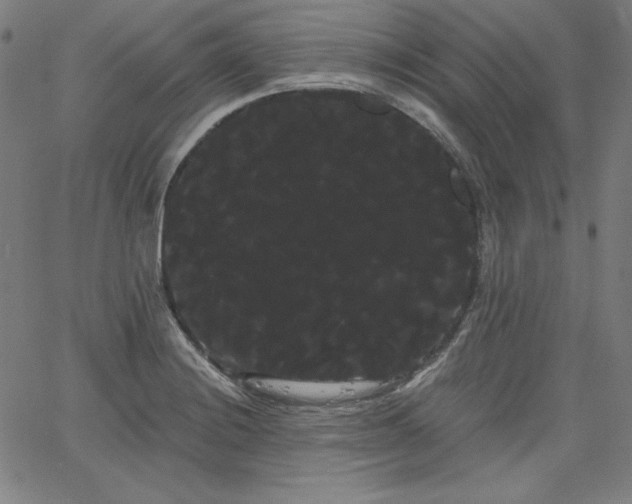 X0000066121228200603101227