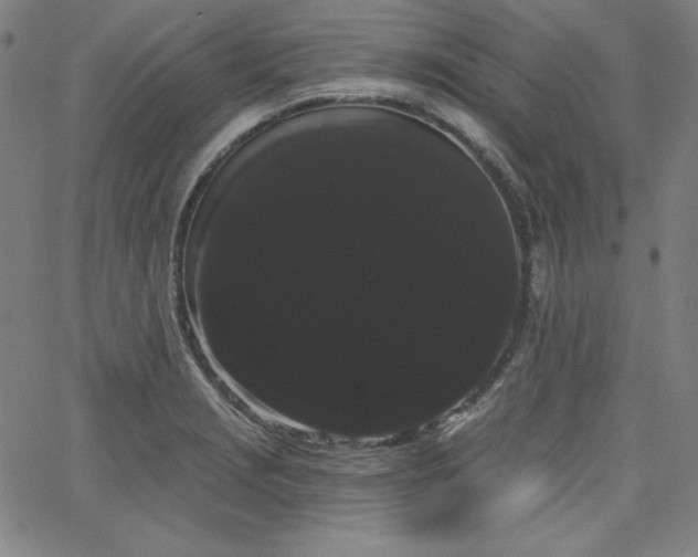 X0000066121229200603101227