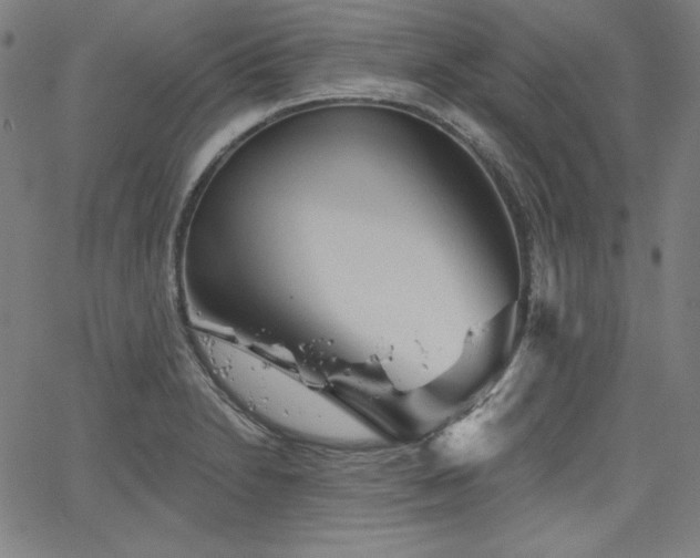 X0000066121230200603101227