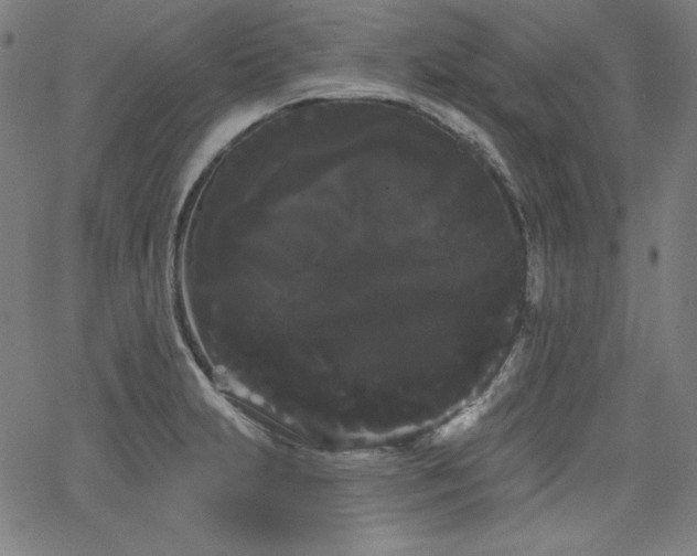 X0000066121231200603101227