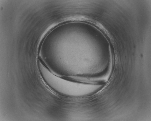 X0000066121232200603101227