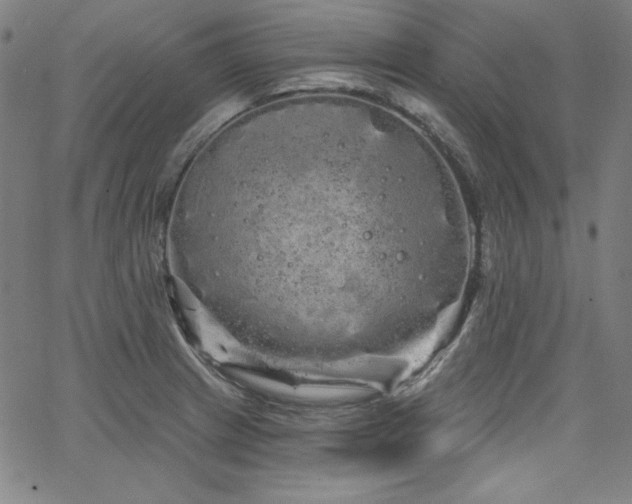 X0000066121233200603101227