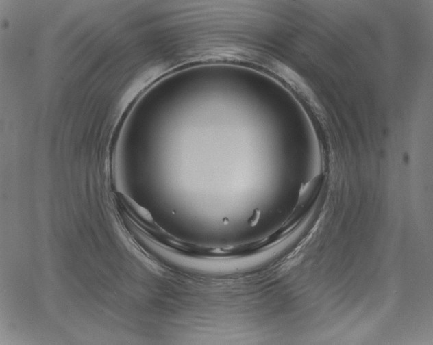 X0000066121234200603101227