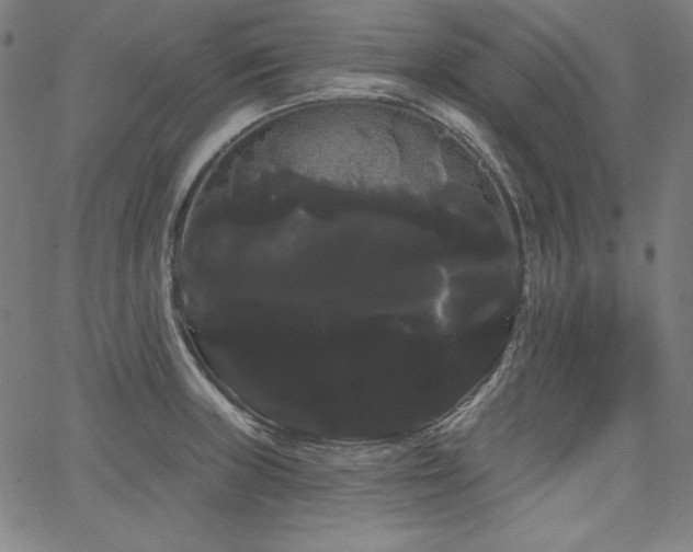 X0000066121235200603101227