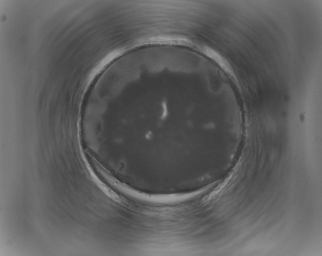 X0000066121237200603101227