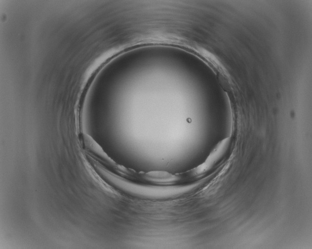 X0000066121238200603101227