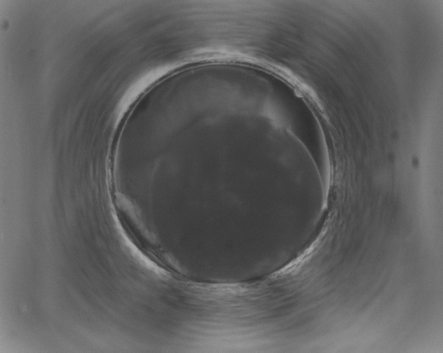 X0000066121239200603101227