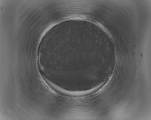 X0000066121240200603101227