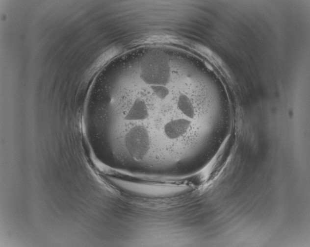 X0000066121241200603101227