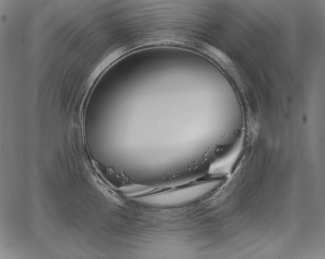 X0000066121242200603101227