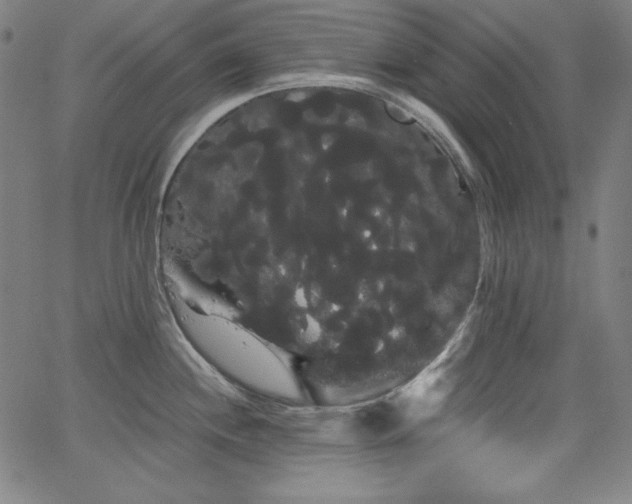 X0000066121244200603101227