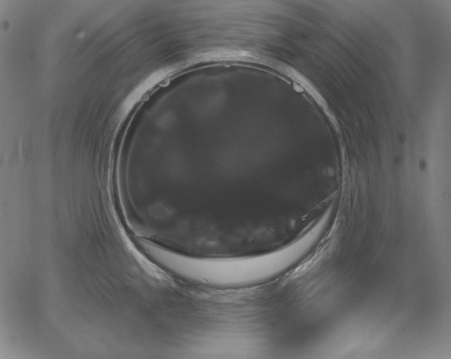 X0000066121245200603101227