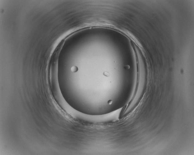 X0000066121246200603101227