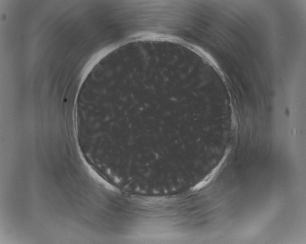 X0000066121247200603101227