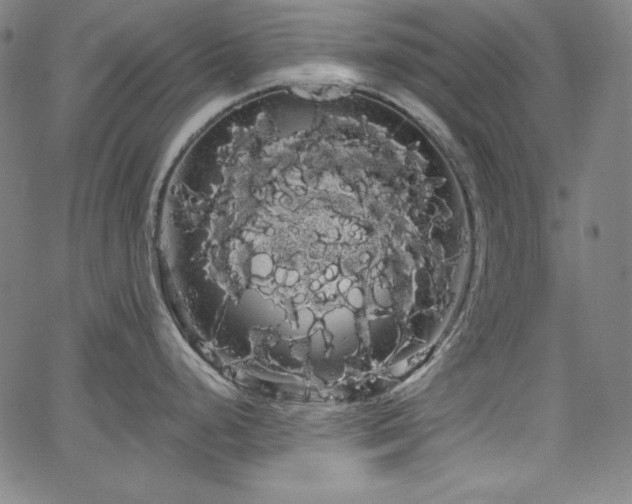 X0000066121248200603101227