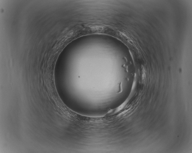 X0000066121249200603101227