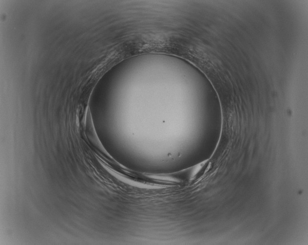 X0000066121250200603101227