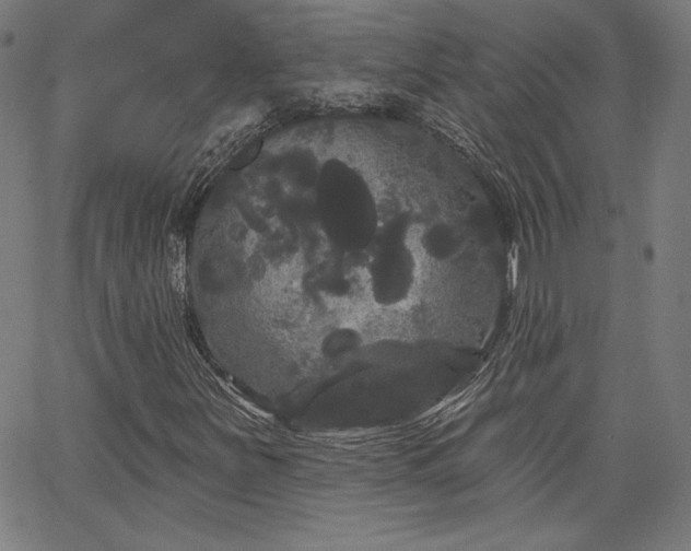 X0000066121251200603101227