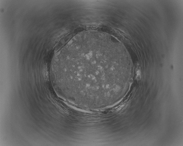 X0000066121252200603101227