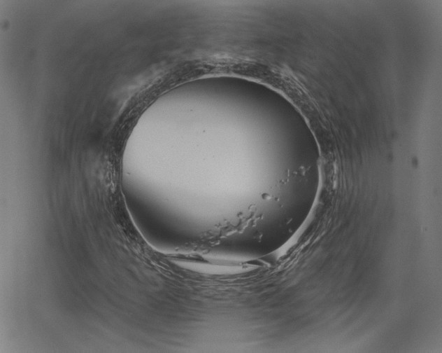 X0000066121253200603101227