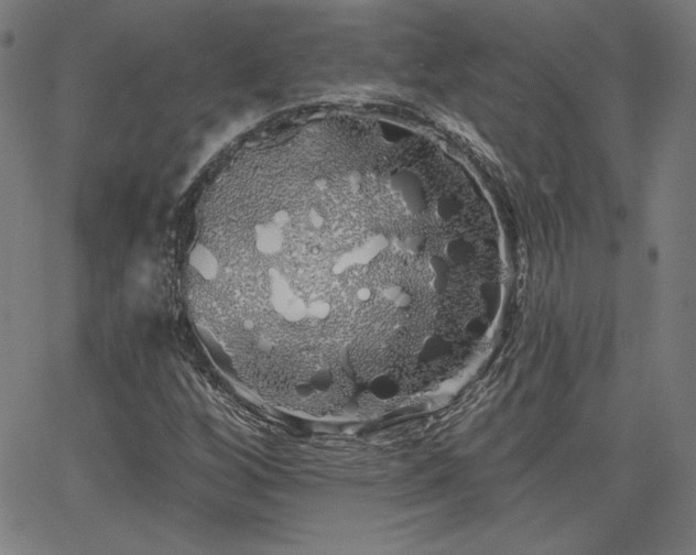 X0000066121256200603101227