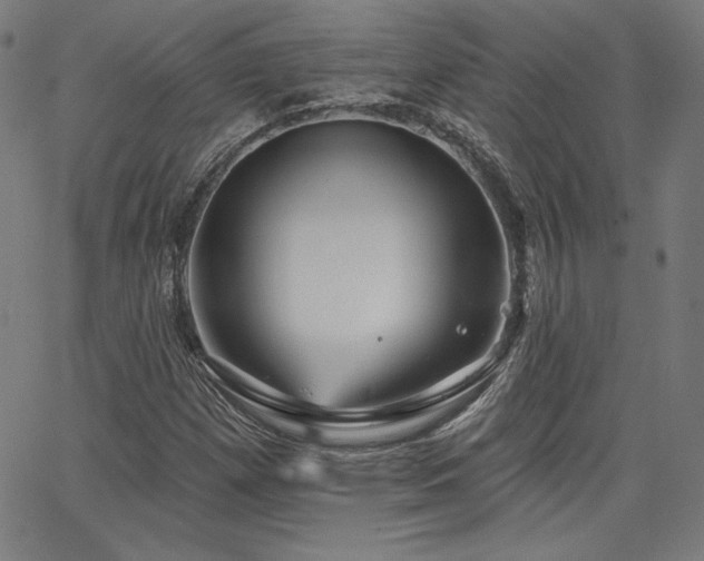 X0000066121257200603101227