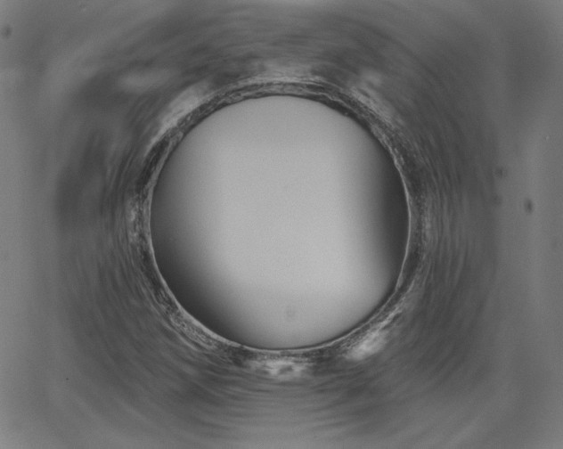 X0000066121258200603101227