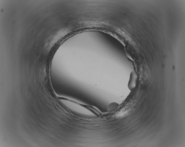 X0000066121261200603101227